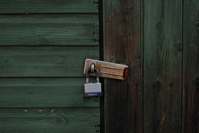 The Silent Cage - My Confession